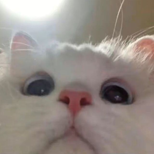 个人照片